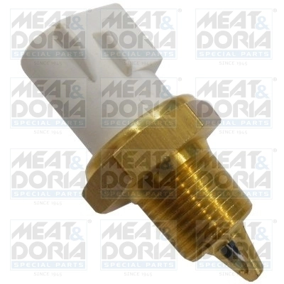 Sensor, intake air temperature